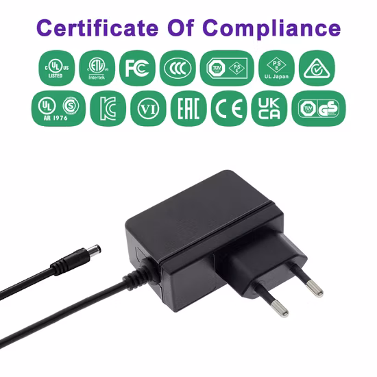 EU Plug in 5V 2A AC/DC Power Adapter for Small Home Appliance